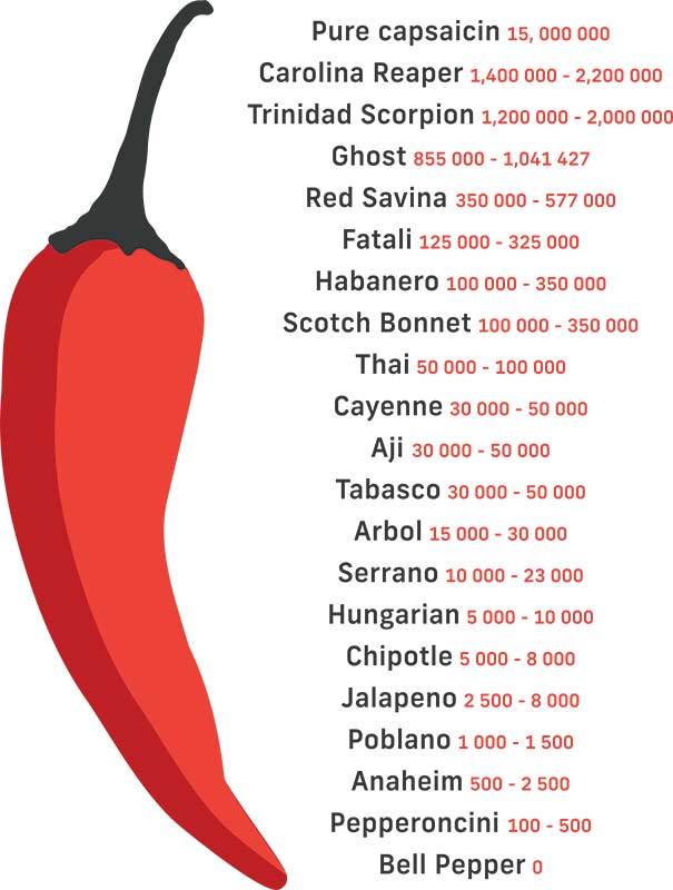 Scoville Scale: How Hot Are Jalapeño Peppers - A-Z Animals