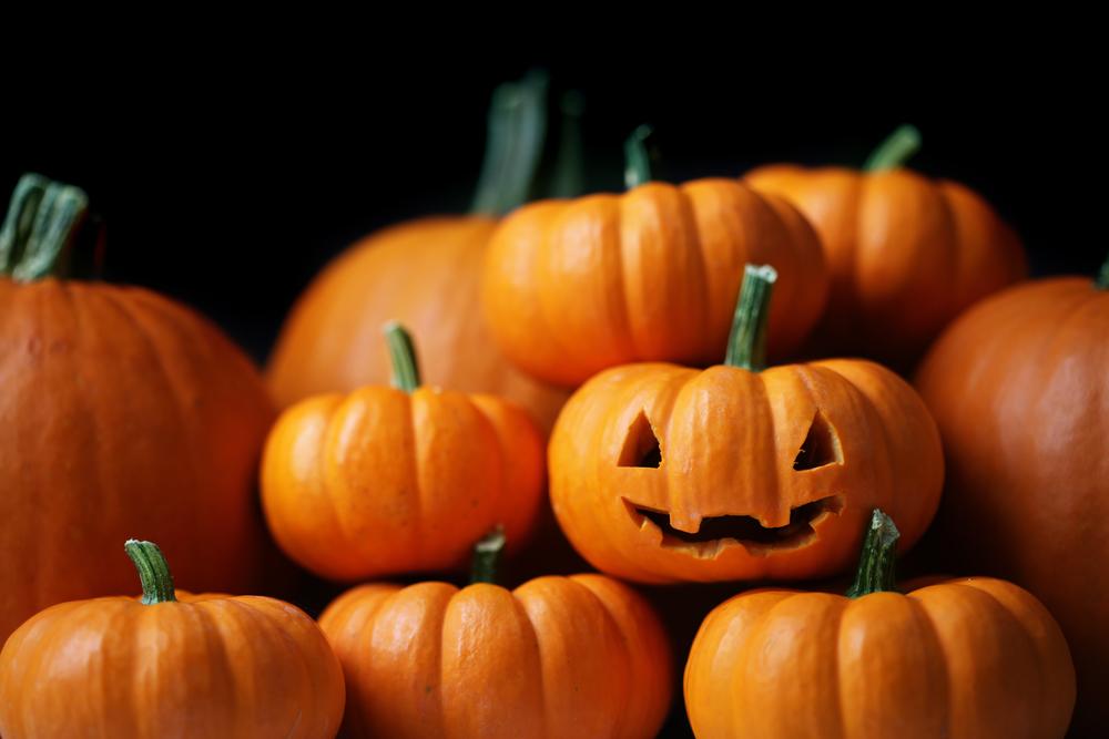 What You Should Be Pairing with Your Pumpkin