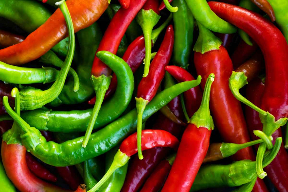 All the facts about chili peppers