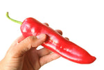 Can Cactus Peppers Cure The Common Itch?