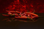 Capsaicin Slows Lung Cancer