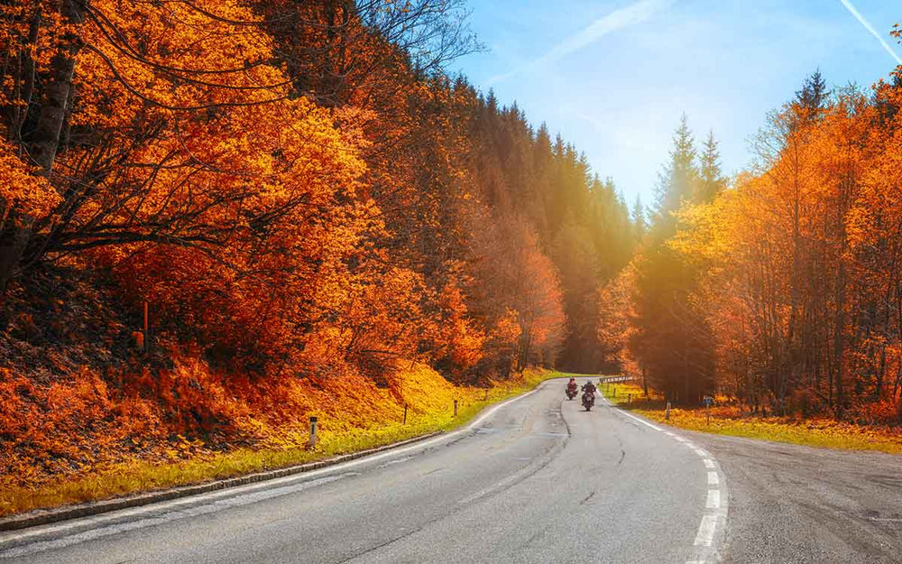 Fall Ride Apple's Feel the Heat and the Thrill: How Hot Sauce Gives You a Buzz Before ...