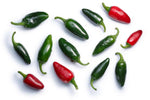 Hotter Jalapenoes