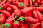 Is spicy food healthy or harmful?