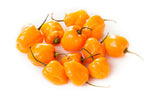 Learn About Habanero Chili Peppers