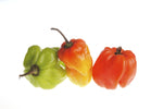 Peppers Health Properties