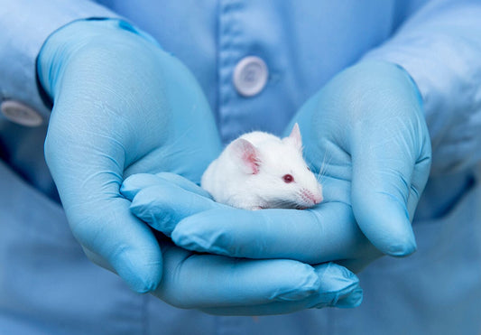 Scientists tap into a new way to help control brain cells