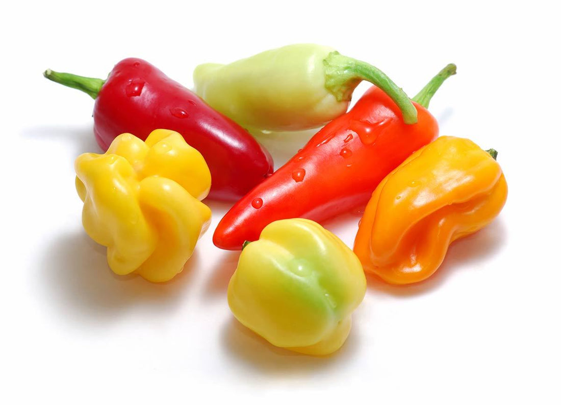 The Color Of Heat