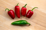 The possible connection between chili peppers and reduced mortality