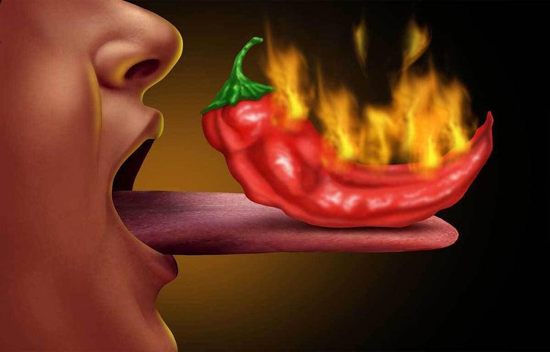 The Trick Capsaicin Plays On Your Mind And Body | body brain Capsaicin Chile  Peppers Hot Sauce mind peppers, capsicum, hot sauce and more |  maddog357.com Health Benefits blog