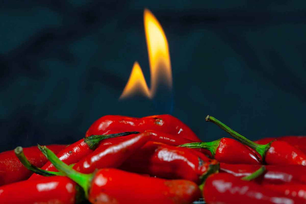 What really makes peppers so spicy hot?