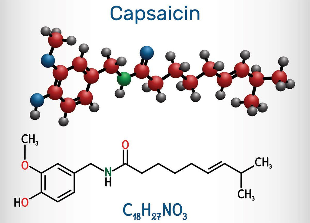 Why Does Capsaicin Burn? Capsaicin, capsaicin burn and more